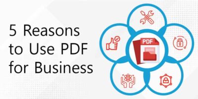 PDF for business